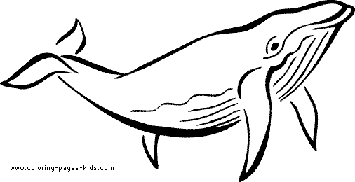 Whale