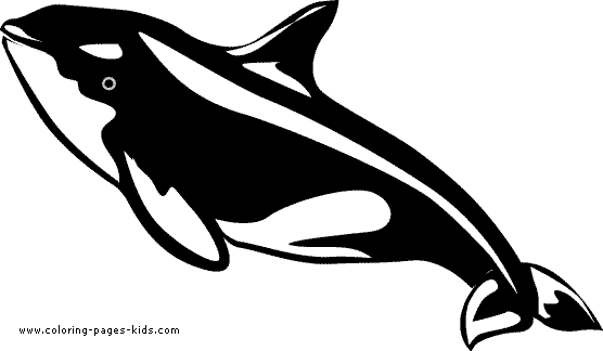 Orca