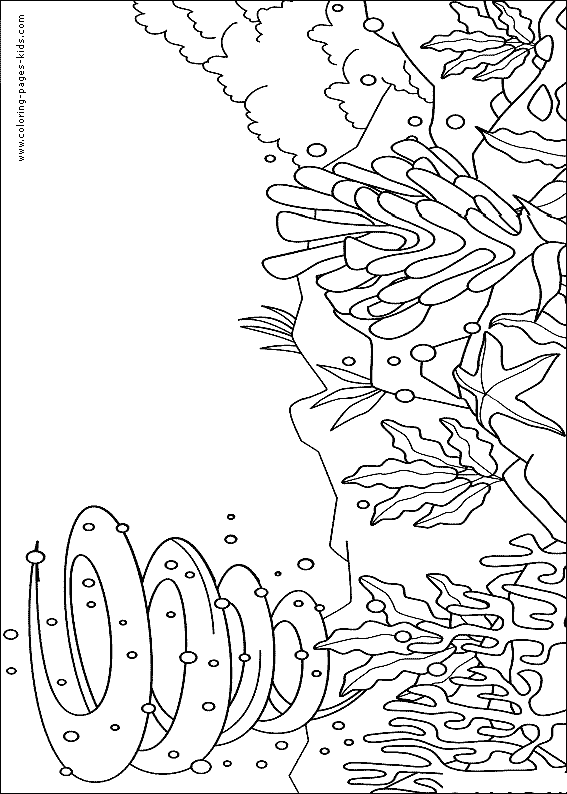 ocean animal coloring pages, color plate, coloring sheet,printable coloring picture