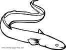 Electric Eel Color Ocean Animals Coloring Pages