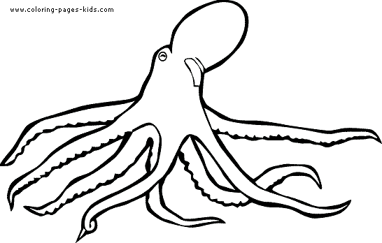 squid coloring pages