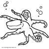 Octopus coloring page