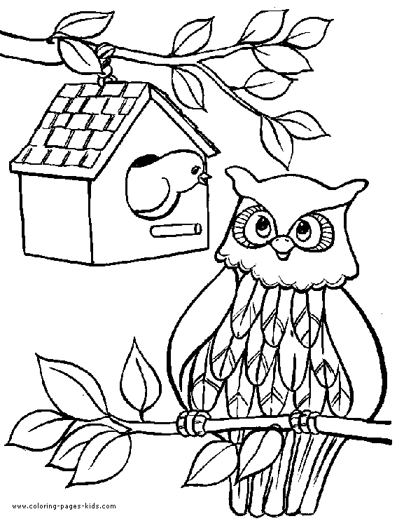 Owl color page, animal coloring pages, color plate, coloring sheet,printable coloring picture