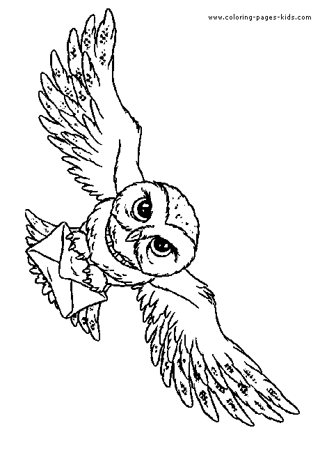 Hedwig the Owl