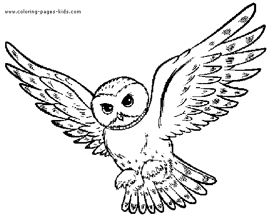 Owl color page, animal coloring pages, color plate, coloring sheet,printable coloring picture