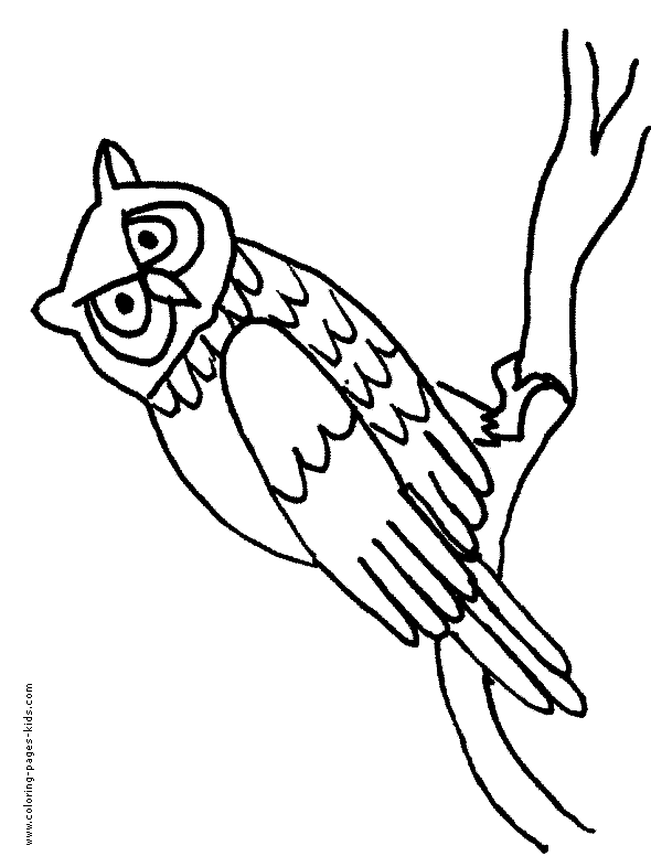 Owl color page, animal coloring pages, color plate, coloring sheet,printable coloring picture