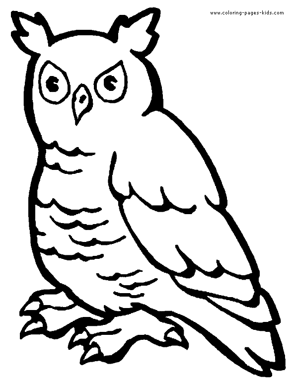 Owl color page, animal coloring pages, color plate, coloring sheet,printable coloring picture