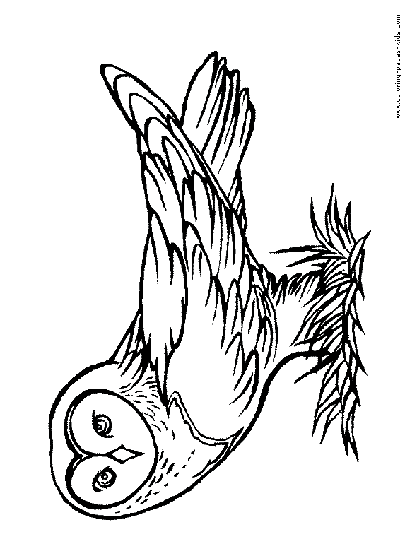 Owl color page, animal coloring pages, color plate, coloring sheet,printable coloring picture