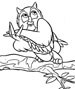 owl printable coloring page