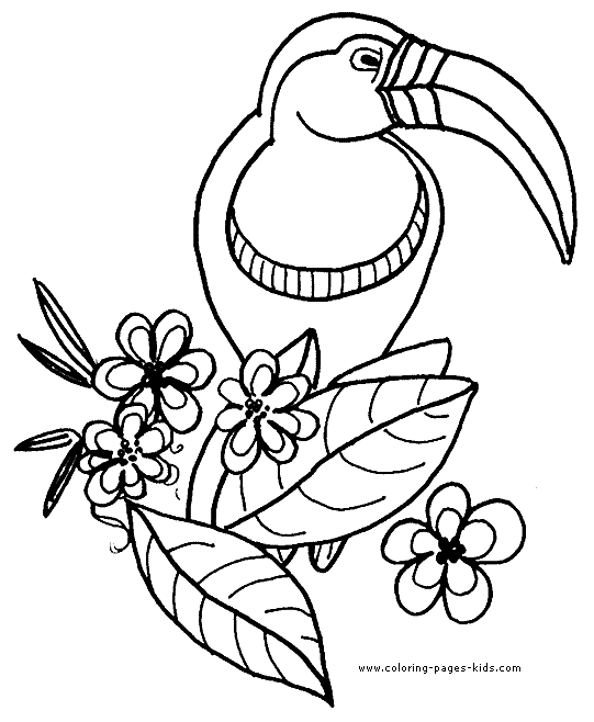 Tucan color page Parrot coloring pages, color plate, coloring sheet,printable coloring picture
