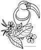 Tucan coloring page