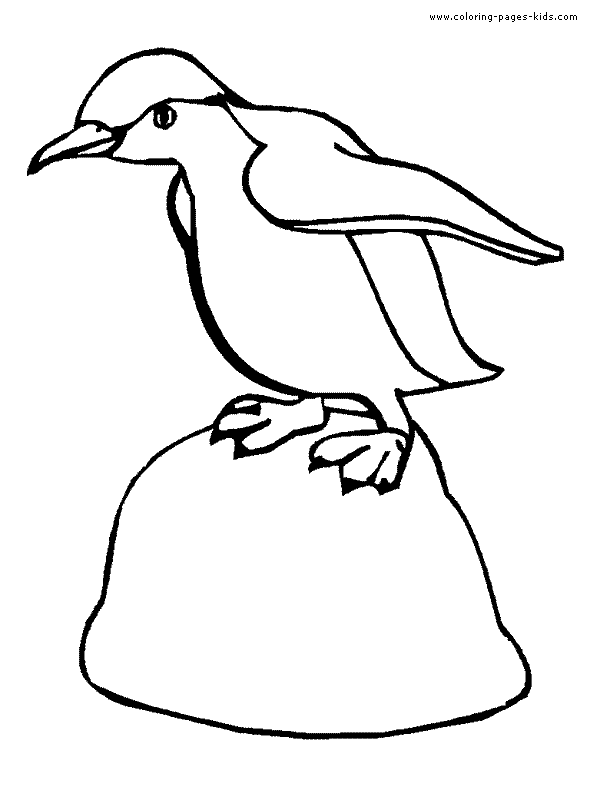 Penguin coloring pages, color plate, coloring sheet,printable coloring picture