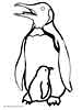 Penguin coloring pages