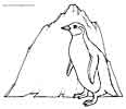 Penguin coloring picture