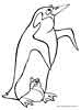 Penguin coloring pages