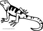 Lizzard coloring page