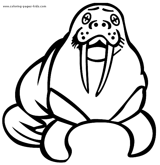 Big Sea lion color page