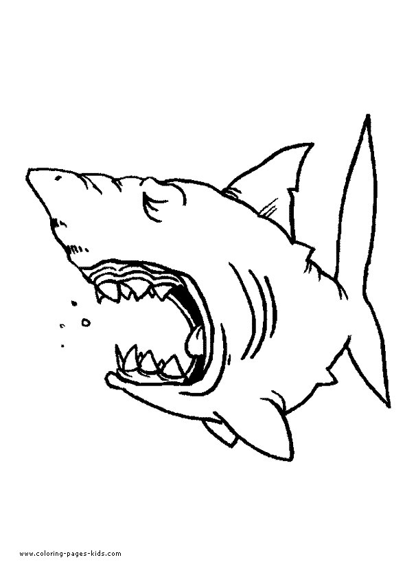 Shark coloring pages, color plate, coloring sheet,printable coloring picture