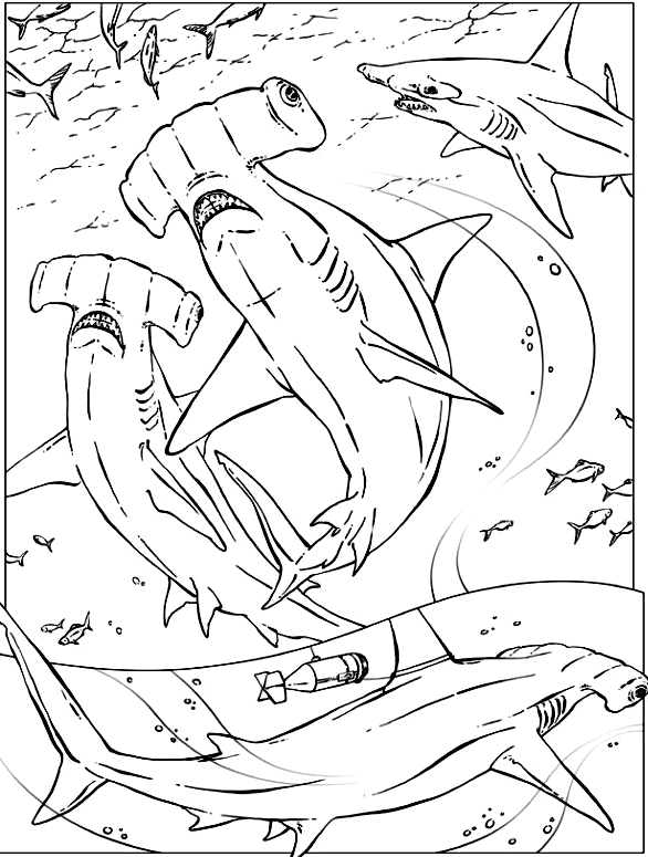 Shark coloring pages, color plate, coloring sheet,printable coloring picture