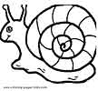 Snails coloring pages