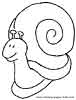 Snail coloring picture