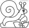 Snails coloring pages