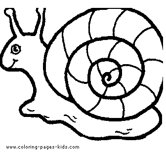 Cartoon Snail color page