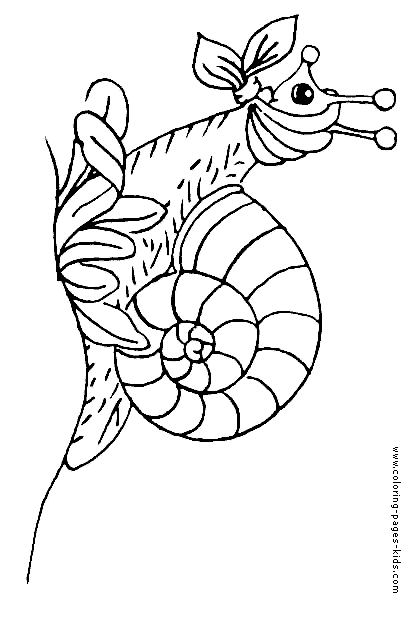 Snail coloring pages, color plate, coloring sheet,printable coloring picture