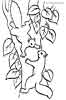 Squirrel coloring pages