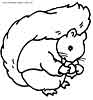 Squirrel coloring pages