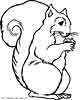 Squirrel coloring pages