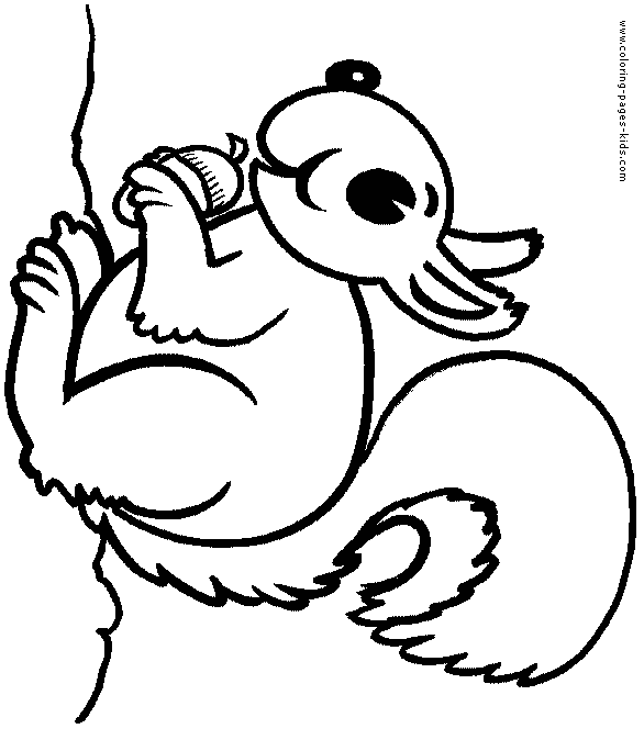 Download Happy Squirrel color page