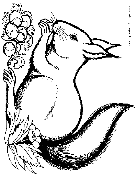 Squirrel coloring pages, color plate, coloring sheet,printable coloring picture