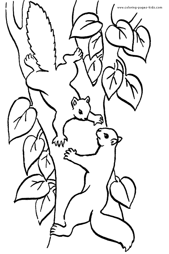 Squirrel coloring pages, color plate, coloring sheet,printable coloring picture