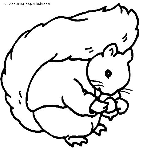 Squirrel coloring pages, color plate, coloring sheet,printable coloring picture