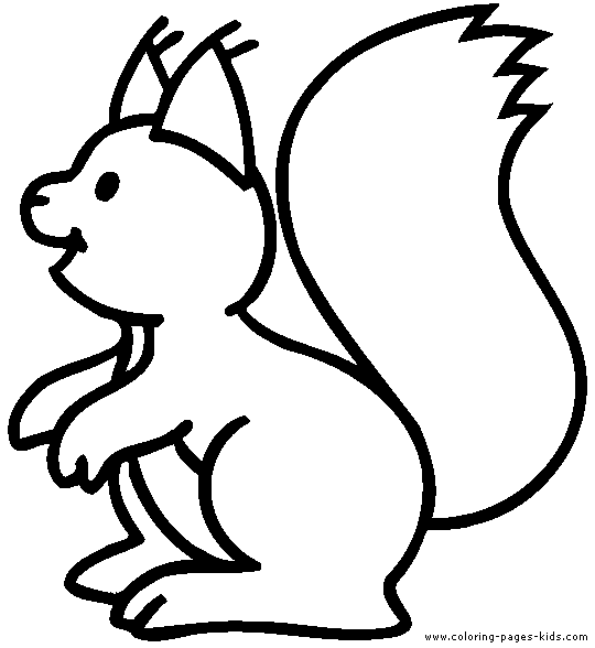 Squirrel coloring page