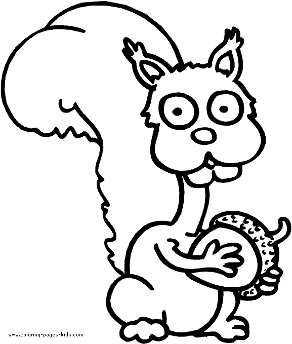 Squirrel coloring pages, color plate, coloring sheet,printable coloring picture