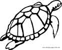 Turtle coloring pages