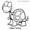 Turtle coloring pages