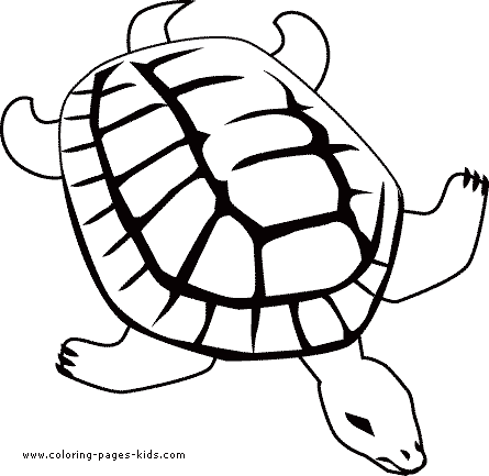 Turtle coloring page