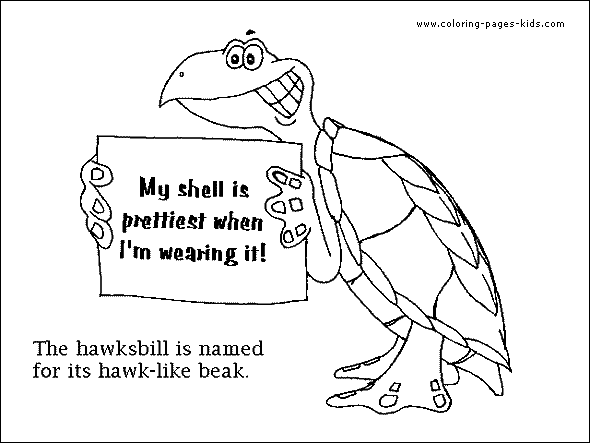 Turtle coloring pages, color plate, coloring sheet,printable coloring picture