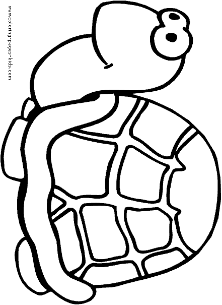 Turtle coloring pages, color plate, coloring sheet,printable coloring picture