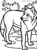 Wolf coloring pages