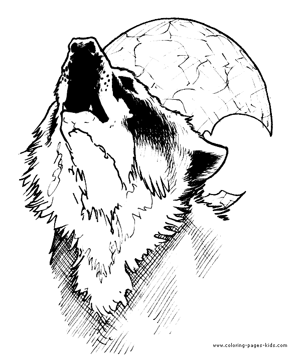 11 Pics Of Anime Wolves With Wings Coloring Pages - Wolves With Wings  Drawings, HD Png Download - 1024x683 PNG - DLF.PT