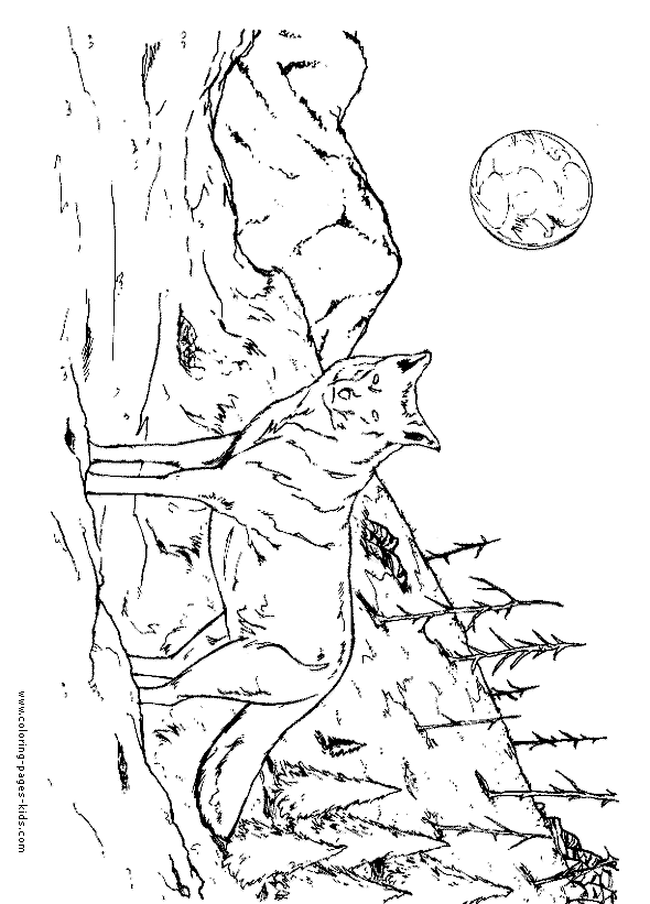 Wolf coloring pages, color plate, coloring sheet,printable coloring picture