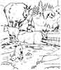 Zoo animal coloring pages
