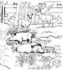 Zoo animals coloring pages