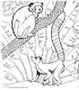 Zoo monkeys coloring page