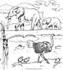 Elephants and an ostrich color page Zoo animals coloring pages
