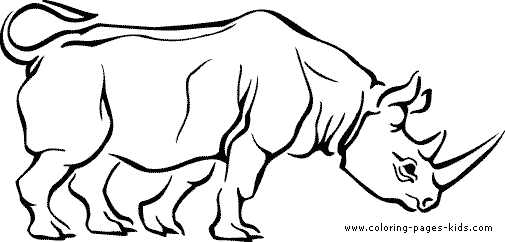 Rhinoceros